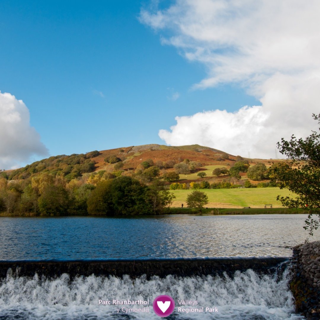 Valleys Regional Park (@lovethevalleys) on Twitter photo Roedd <a href="/DVCP9/">@DareValleyCountryPark</a> yn arfer bod yn gartref i Bwll Glo Dâr — rhan annatod o Faes Glo ehangach De Cymru 😲⚒️
Erbyn hyn mae’n hafan i fywyd gwyllt a chymunedau lleol, ac mae'n enghraifft berffaith o sut gellir adfer natur, dros amser, mewn ardaloedd a arferai fod yn ddiwydiannol 💚🌿 Roedd <a href="/DVCP9/">@DareValleyCountryPark</a> yn arfer bod yn gartref i Bwll Glo Dâr — rhan annatod o Faes Glo ehangach De Cymru 😲⚒️
Erbyn hyn mae’n hafan i fywyd gwyllt a chymunedau lleol, ac mae'n enghraifft berffaith o sut gellir adfer natur, dros amser, mewn ardaloedd a arferai fod yn ddiwydiannol 💚🌿