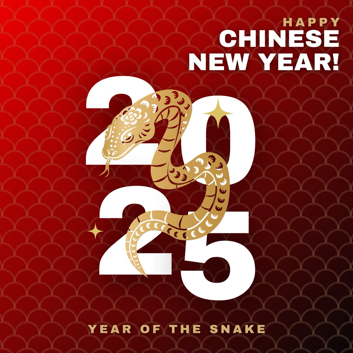 Happy Chinese New Year from Tomket Tyres! 🐍

As we step into the Year of the Snake, we wish you all a year of happiness and good health!

#HappyChineseNewYear