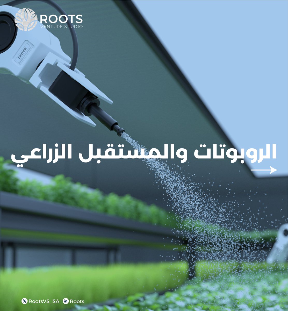 ROOTS tweet media