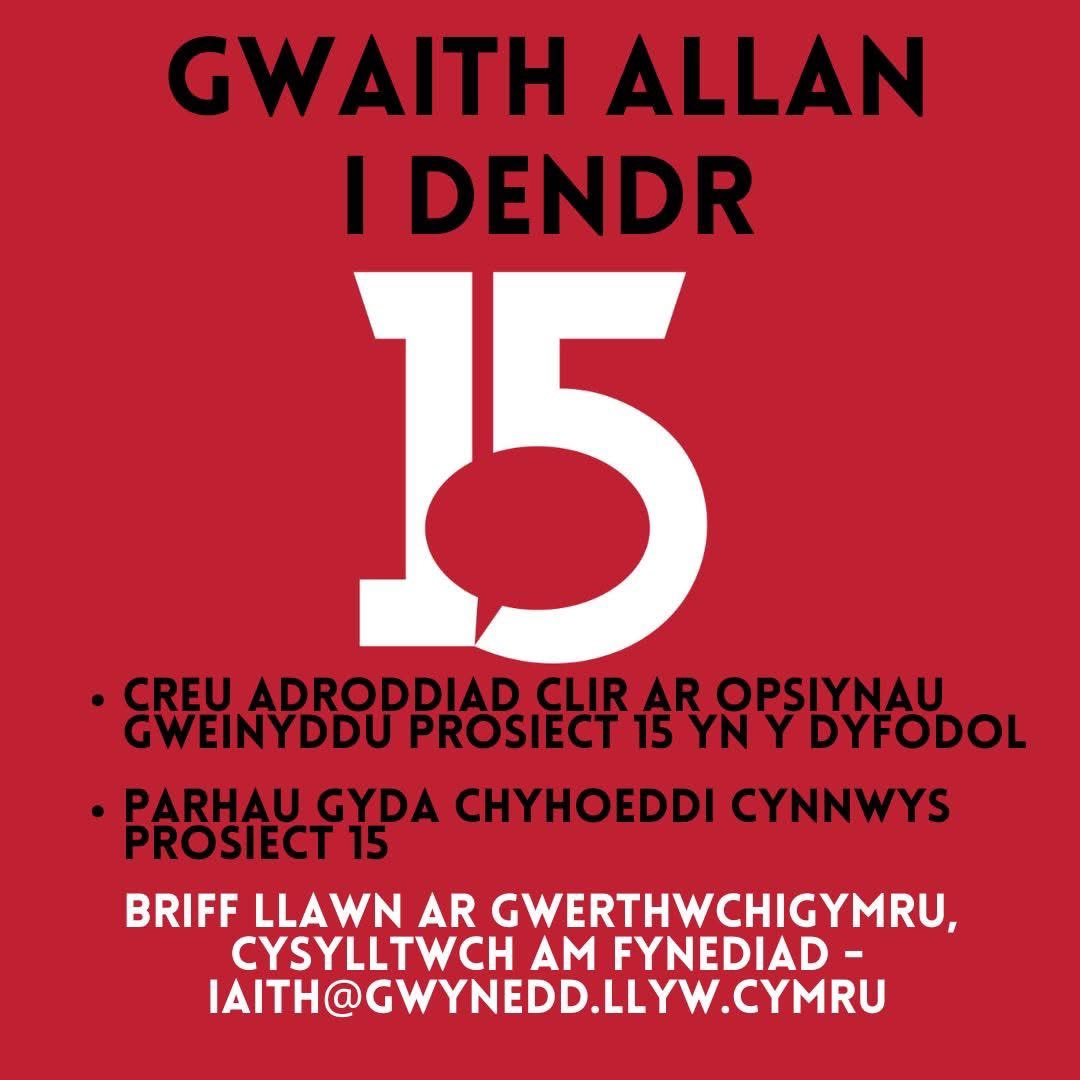 Rydym yn awyddus i benodi ymgynghorydd sydd â dealltwriaeth gref o dechnoleg ac adnabyddiaeth am Wynedd a hwb yr iaith Gymraeg.

Mae’r briff llawn a chyfle i rhoi dyfynbris ar GwerthwchiGymru felly cysylltwch am fynediad at y contract.