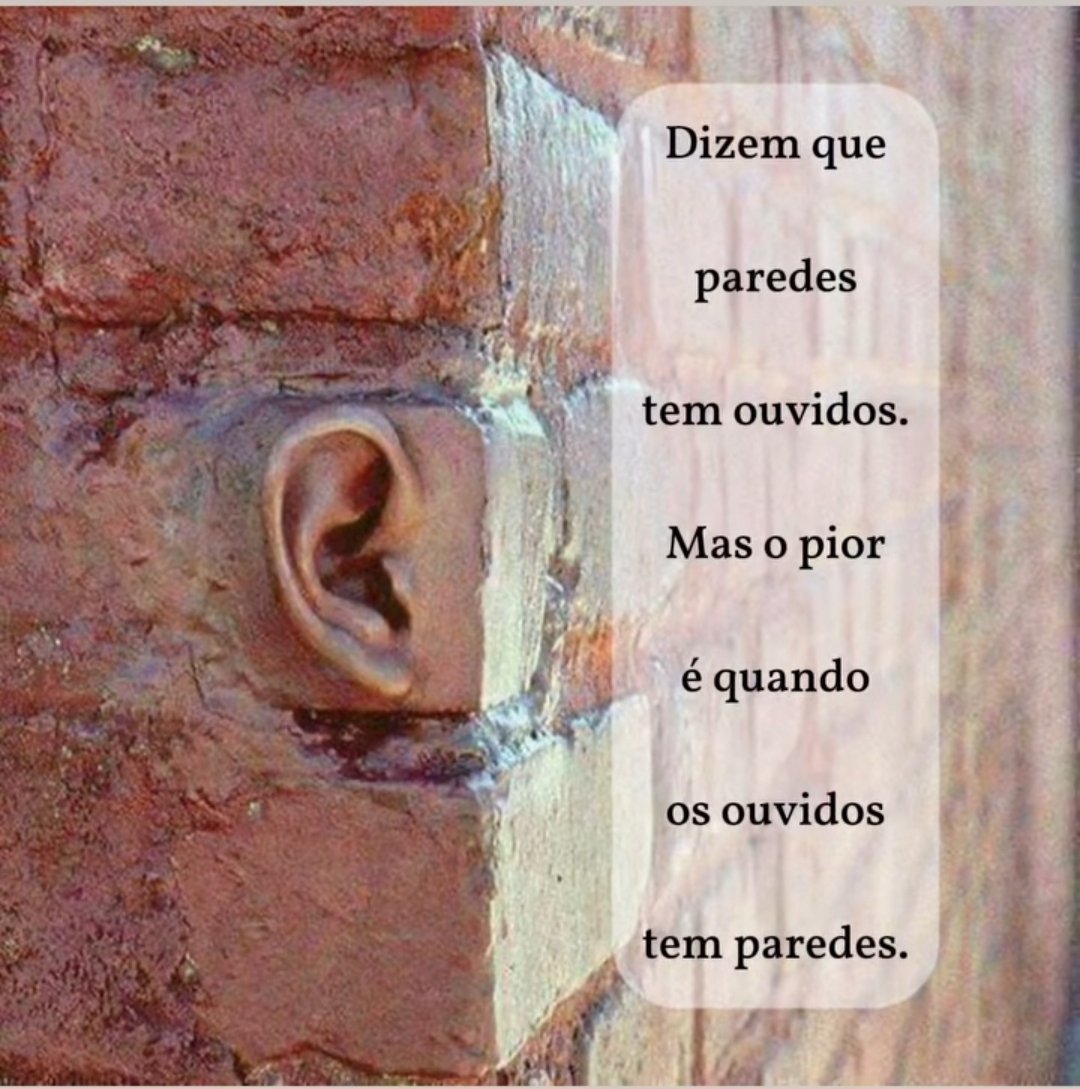 Adriano Brito tweet media