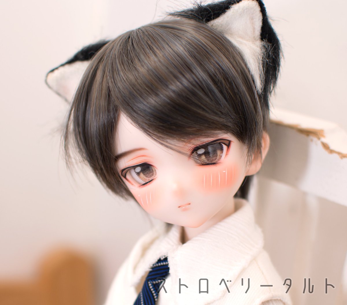 DDH-01(セミホワイト肌) カスタムヘッド＋レジンアイ-(2)