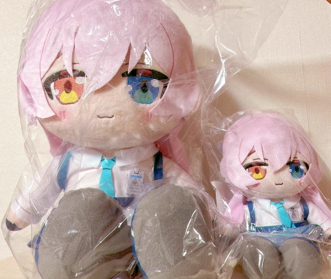【朗報】でかホシノぬい、デカすぎる 