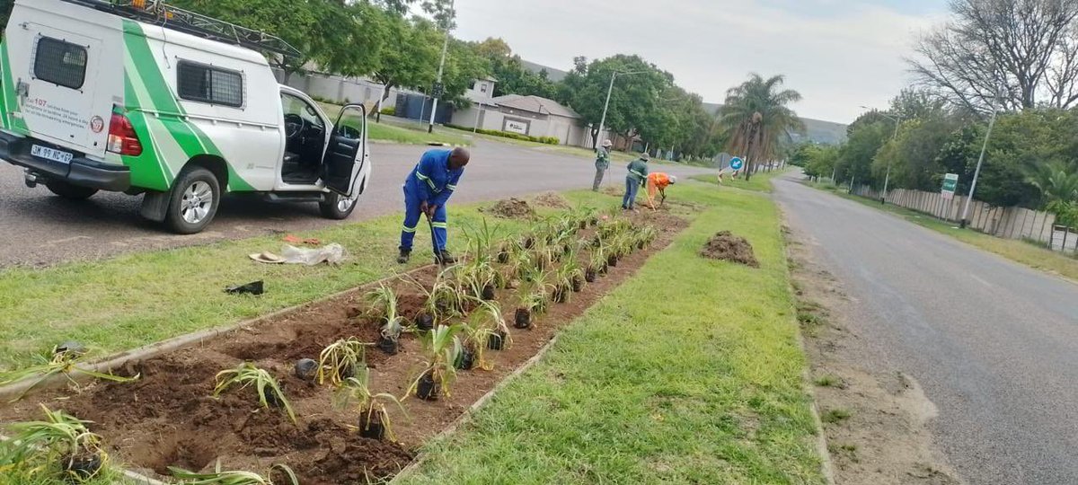 Dr Nasiphi Moya tweet media