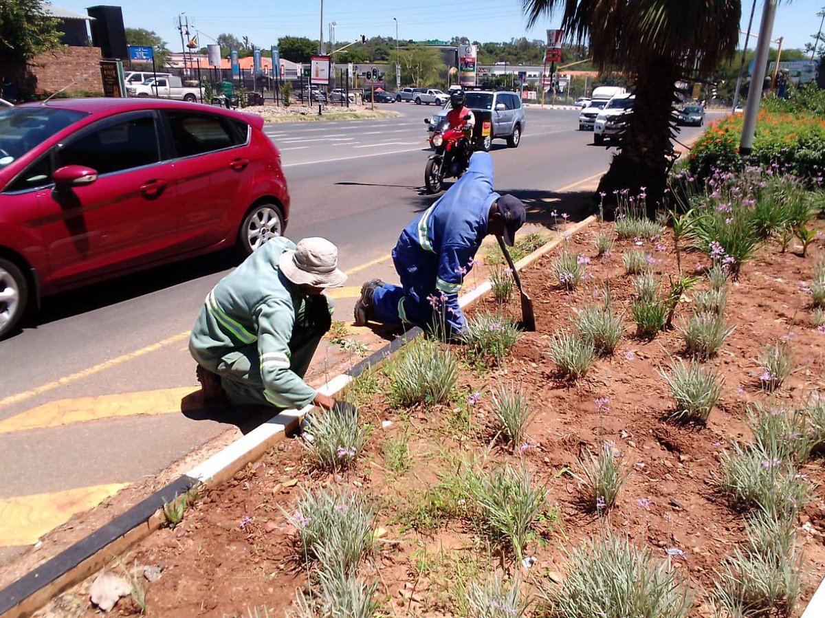 Dr Nasiphi Moya tweet media