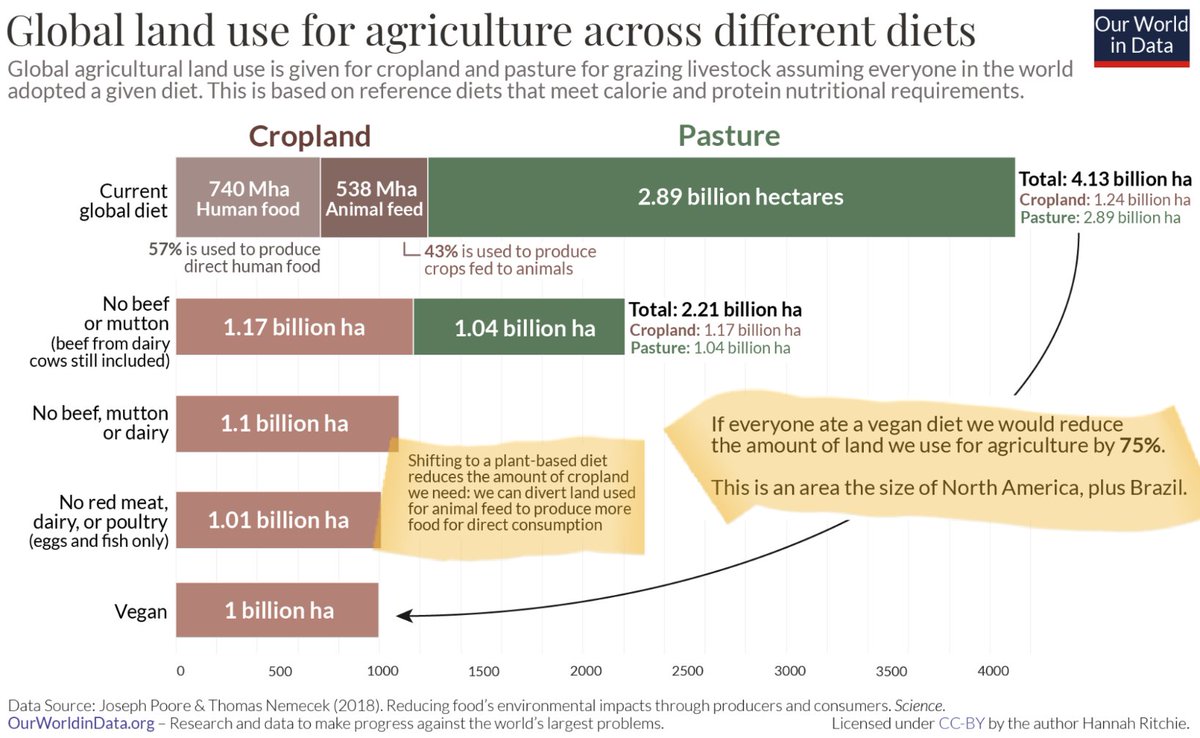 Hugh Mainley tweet media
