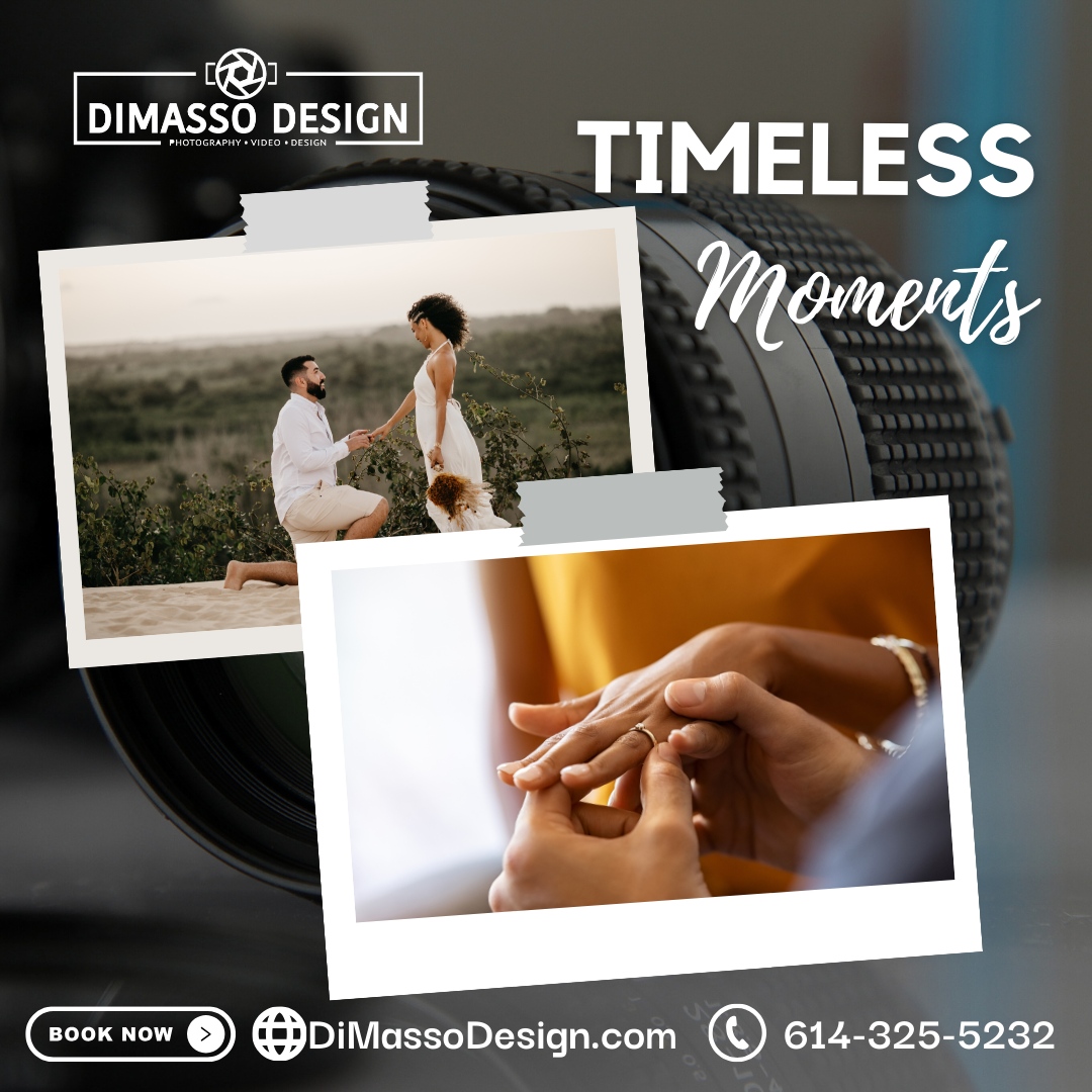 DiMasso Design tweet media