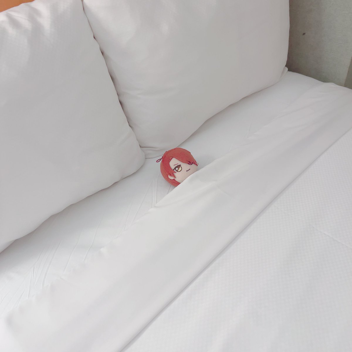 きょうもおつかれさま！！
ゆっくりぐっすり寝よう！！✨️

#まほやく_ぬい