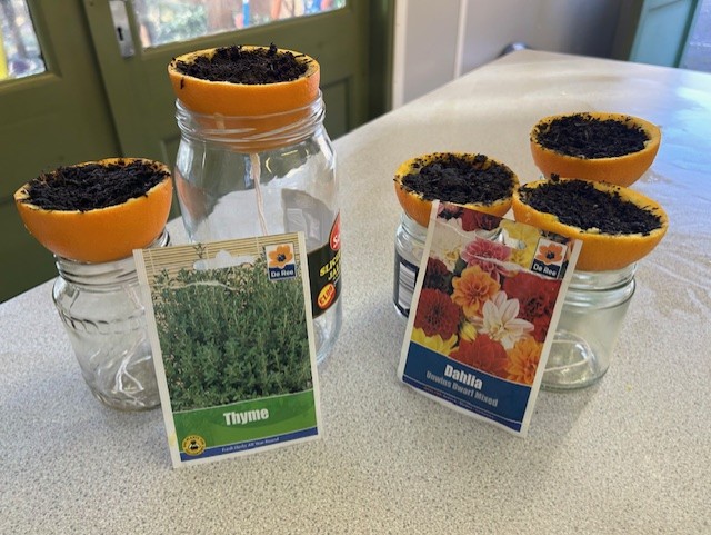 The year 12 PD group have been planting seeds ready for potting on and putting in the Eco garden this year. They have seeded a range of both flowers and herbs to enjoy.
#PersonalDevelopment #SustainableLiving
#TeamFeversham