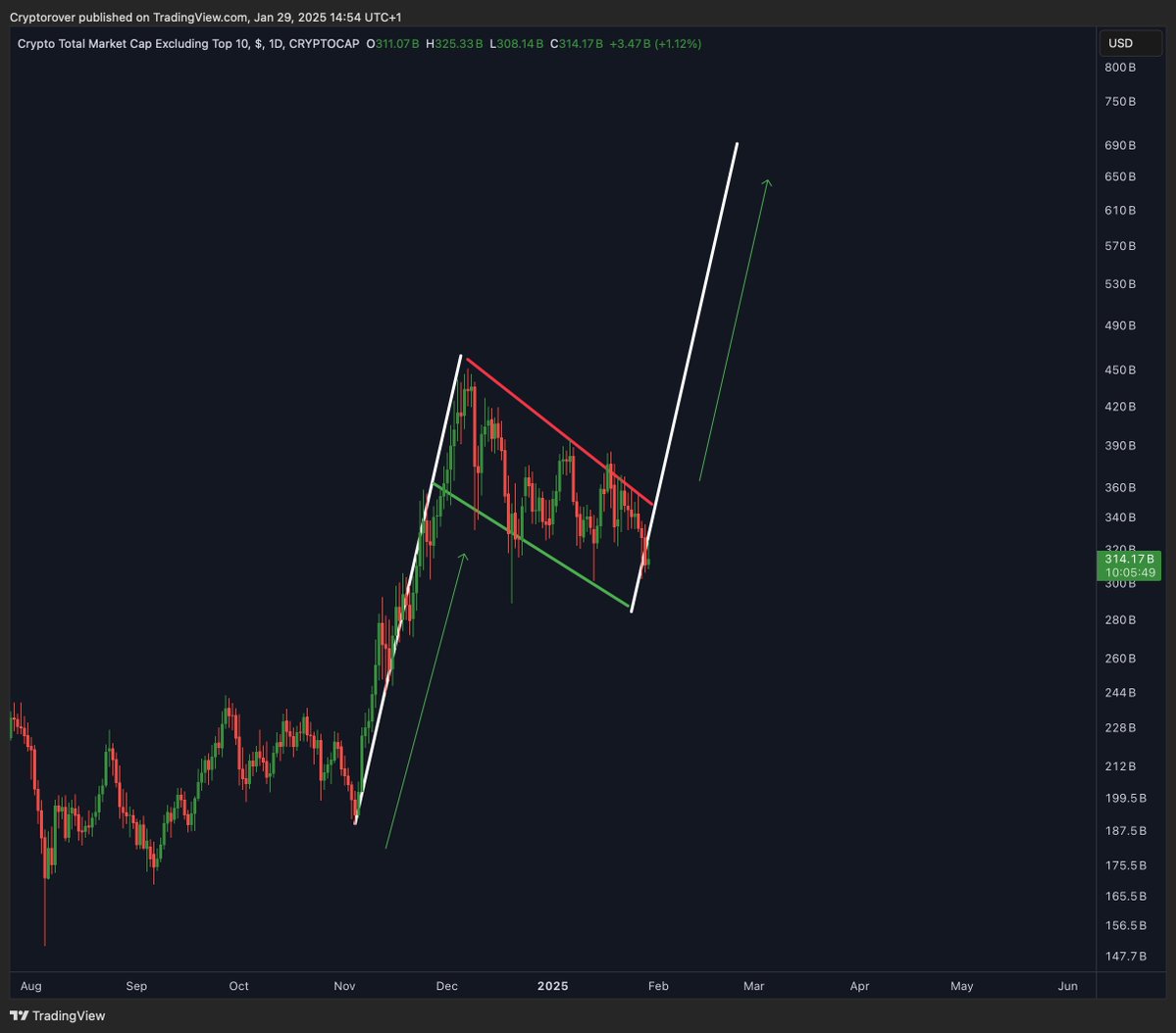 This bull flag will send our #Altcoins to Valhalla!