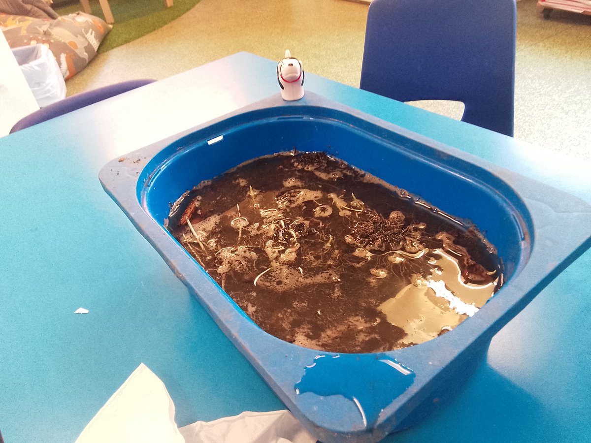 Class 2 testing the elasticity of different materials to help create a bridge for Penny the dog.