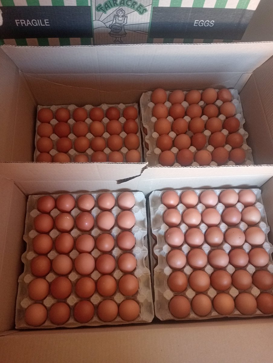 Lutendo88891060's tweet image. Fresh  Large Eggs - Box R630.00 available Contact me on whatapp 079 095 8992 . Location Benoni crystal park.#Vendatwitter #VhuvhambadziDrive #DjSbu #MopaniWorms #GirlTalkZA #InCaseYouMissedIt #Lorch #Gugu #BlackCoffee #Ntsiki #ARVs