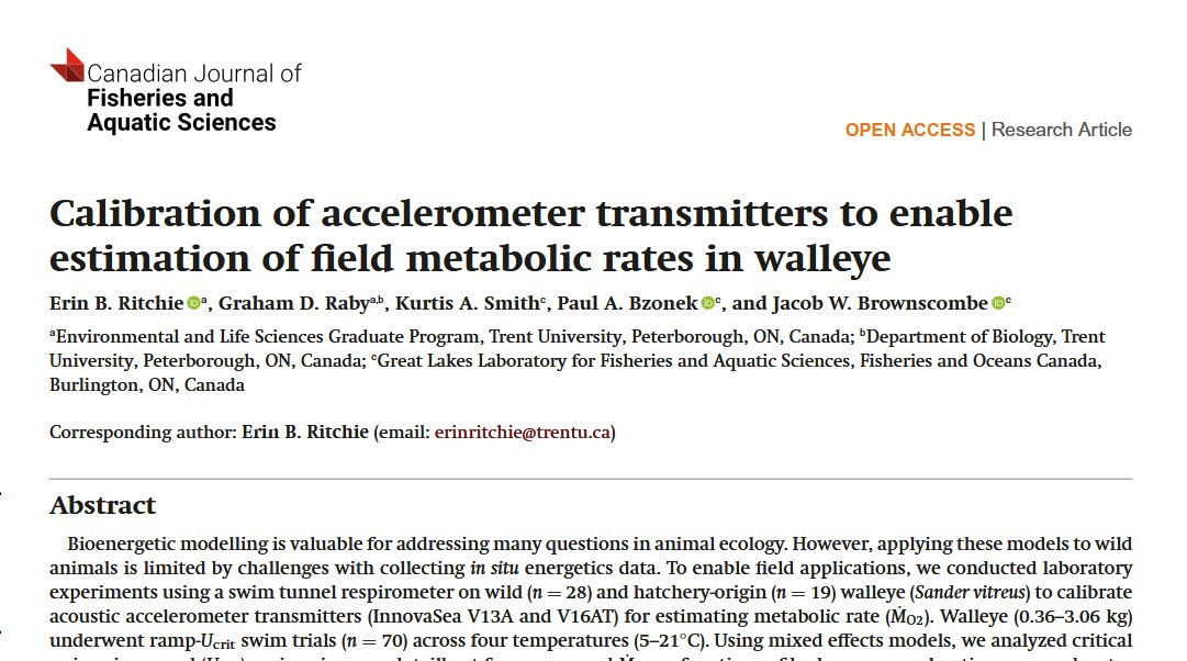 Now published open access in <a href="/cjfas/">Canadian Journal of Fisheries and Aquatic Sciences</a>. This one is for you nerds who like swim tunnel respirometry and accelerometer tags. 

Led by <a href="/TrentUResearch/">Trent University Research & Innovation</a> MSc student <a href="/ErinRitchiee/">Erin Ritchie</a>, work done at CCIW with <a href="/sci_angler/">Jake Brownscombe</a> from 2021-23. 

Thanks to <a href="/LampreyControl/">GLFC</a> for funding.