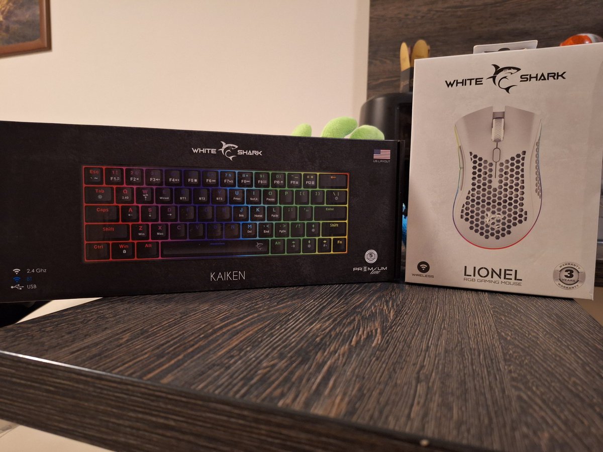 Noctiq Esports tweet media