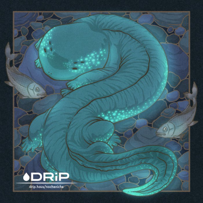 Noche Niche tweet media