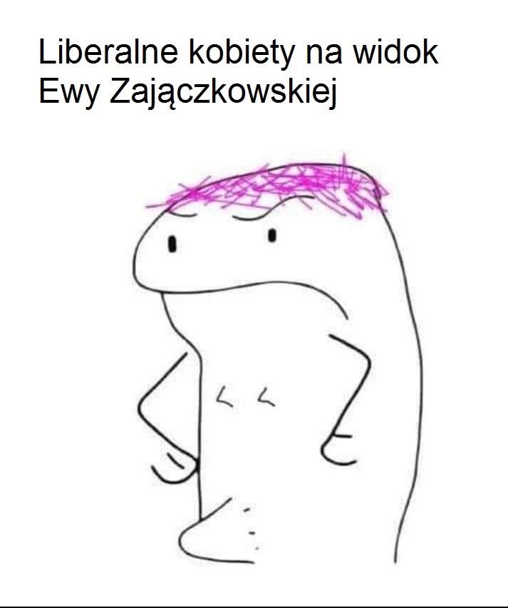 #lewica #konfederacja #polityka #polska