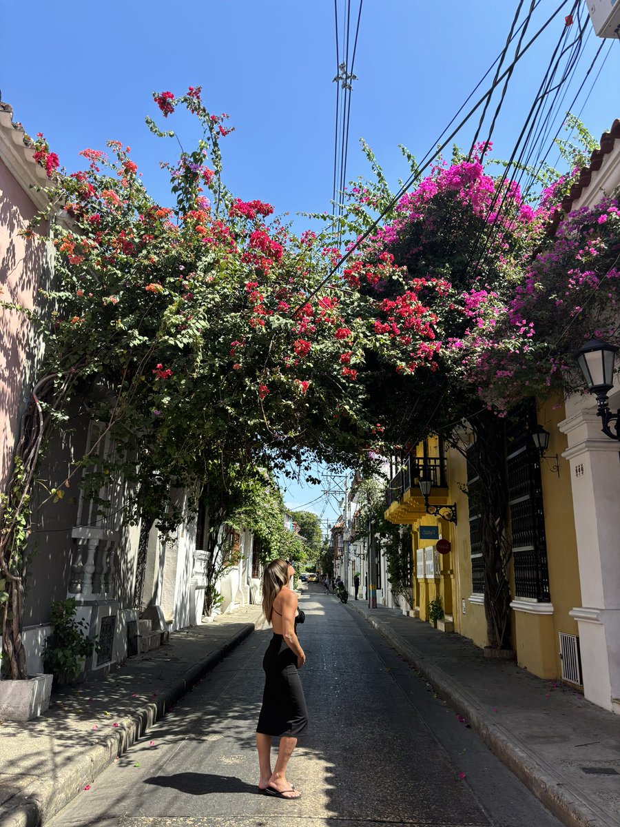 UNB_Stephanie tweet media