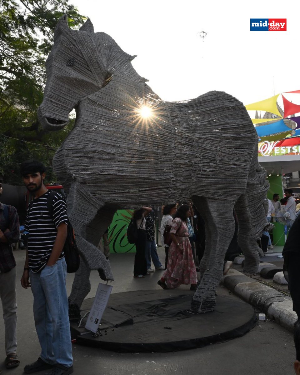 mid_day's tweet image. Varieties of Horses at the Kala Ghoda Art Festival 2025 in Fort, Mumbai 

Pic: @iamATULKAMBLE 

#KalaGhoda #Mumbai #SouthMumbai