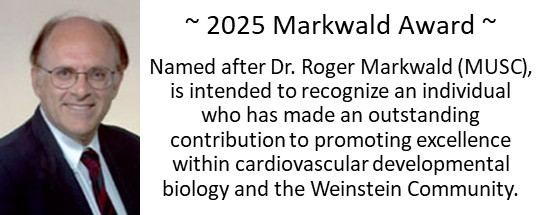 Hi <a href="/WeinsteinConf/">Weinstein Cardiovascular Conference</a> community. We are soliciting nominations for the 2025 Markwald Award. If you have a scientist you would like to nominate, message me.