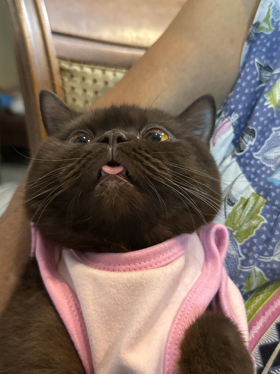 หนูได้ข่าวว่าน้องจะมาแล้ว ไม่เอาหลานใหม่นะคะคุณยาย 🥹