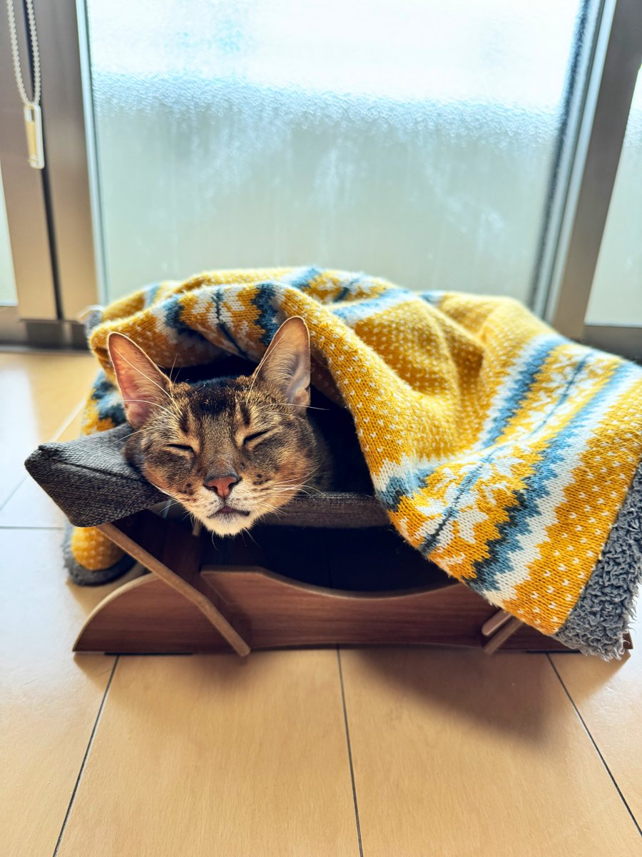 沖縄でも寒いとらきち