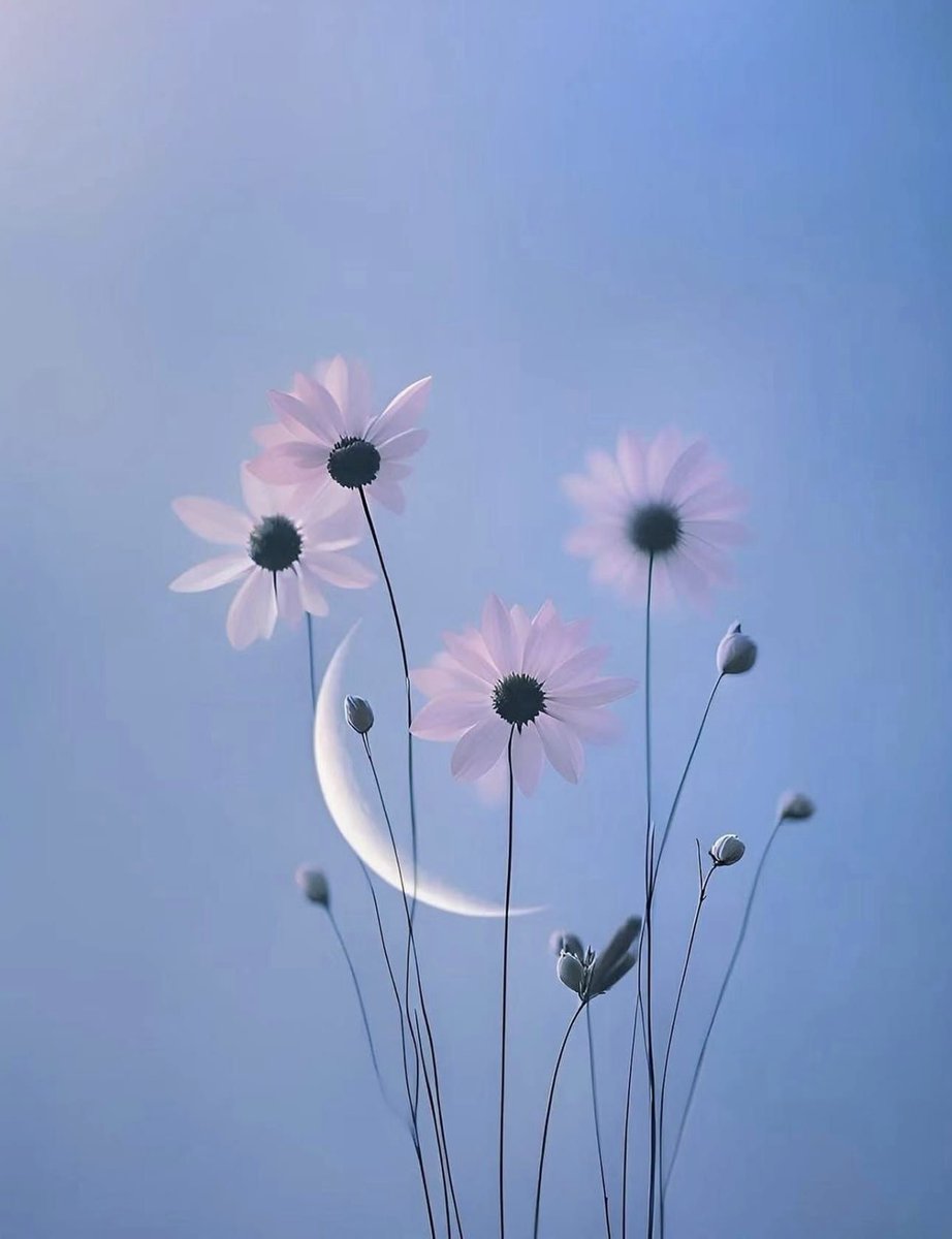 "Biz de onun duasını kabul ettik, onu gam ve kederden kurtardık. İşte biz inananları böyle kurtarırız." (Enbiya, 88)