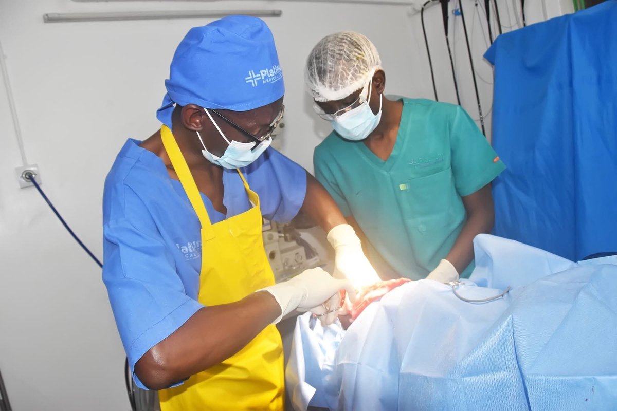 Humanity Direct tweet media