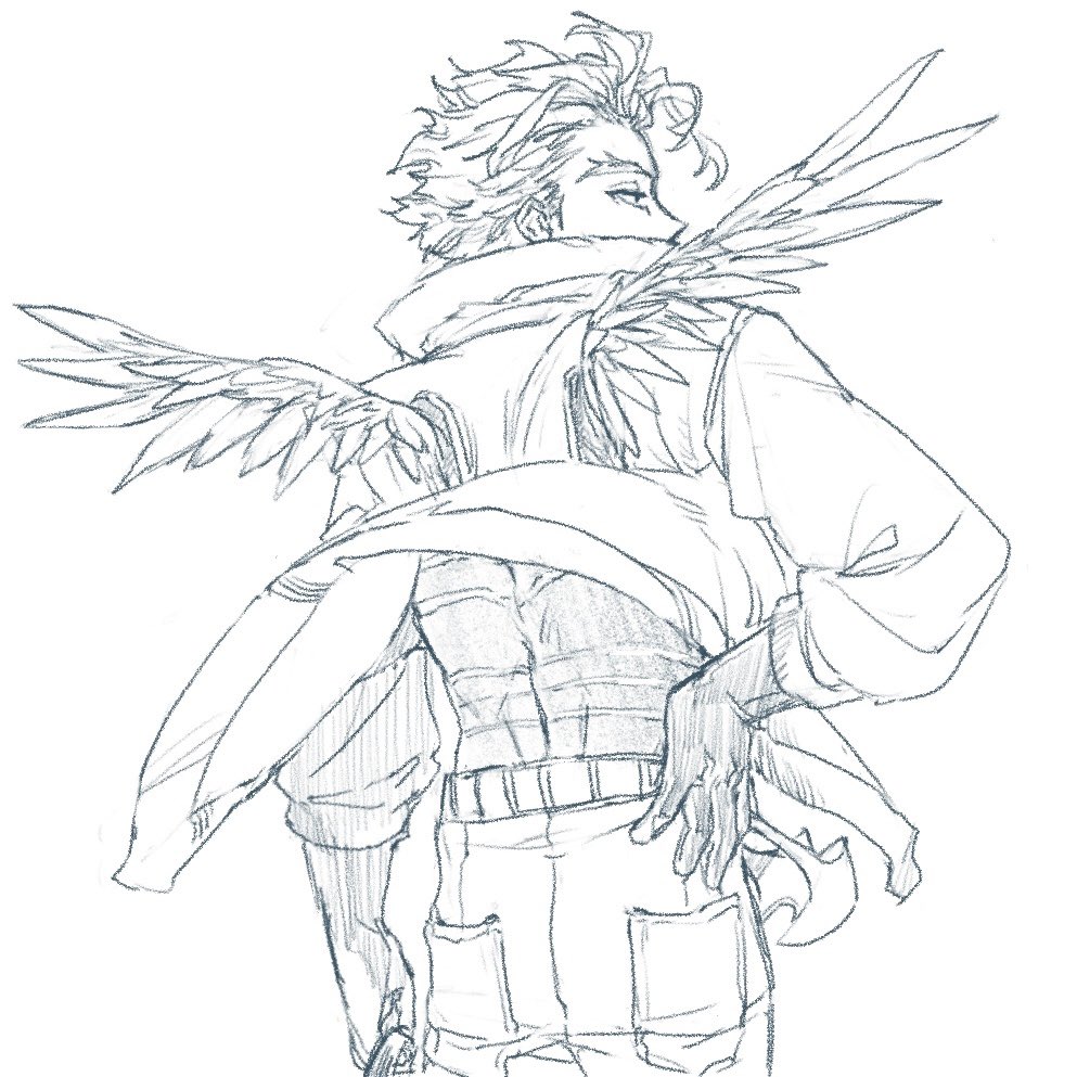 Hawks sketches