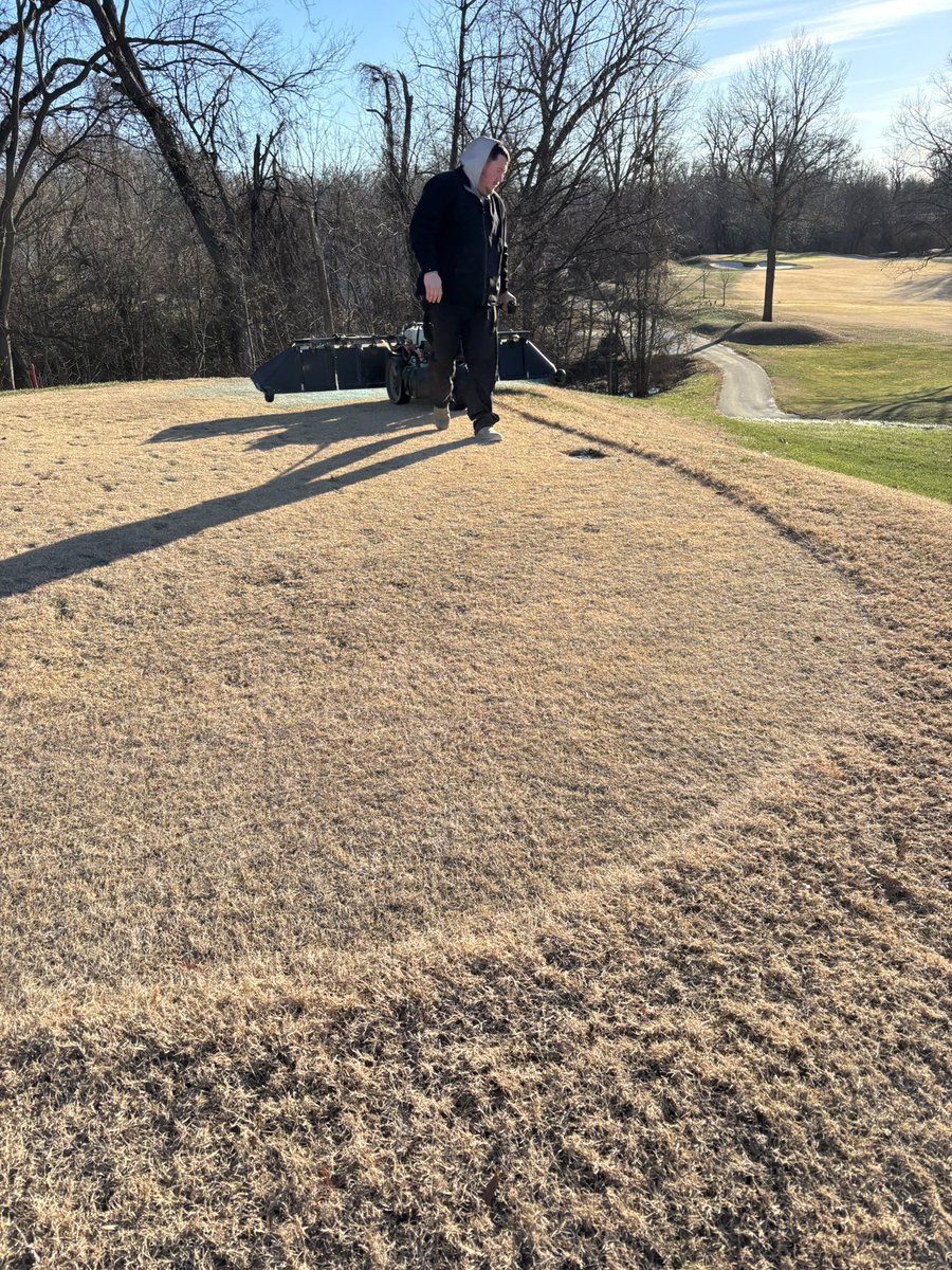 Winter annual weed spray going out on tees today. Not much here due to Stricore application but a few plants justifying the work.