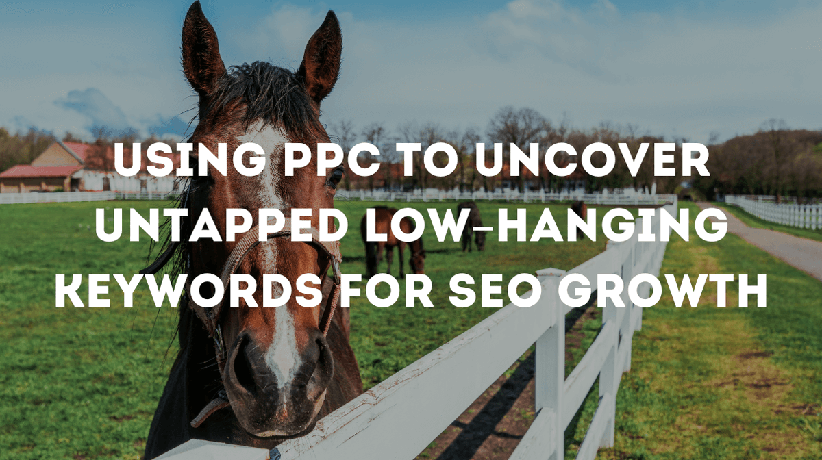 Amanda White tweet media