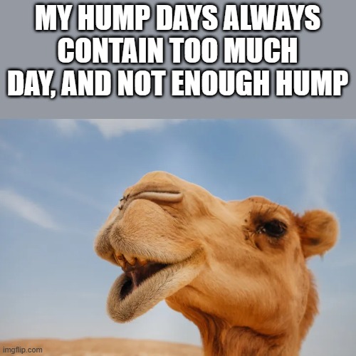 EndlessCollage's tweet photo. @uproarinhouston Happy Wednesday. https://t.co/Ob5SCVaBQD