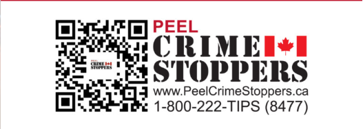 PRP - Community Safety & Well-Being (@prpcswb) on Twitter photo As the month comes to an end, this is a reminder that January is Crime Stoppers Month. <a href="/PeelCrimeStopp/">Peel Crime Stoppers</a> is a valuable partner with @peelpolice and we wanted to acknowledge all of the important volunteers that put in their time to make this program successful! <a href="/DeputyDapat/">Mark Dapat</a> As the month comes to an end, this is a reminder that January is Crime Stoppers Month. <a href="/PeelCrimeStopp/">Peel Crime Stoppers</a> is a valuable partner with @peelpolice and we wanted to acknowledge all of the important volunteers that put in their time to make this program successful! <a href="/DeputyDapat/">Mark Dapat</a>