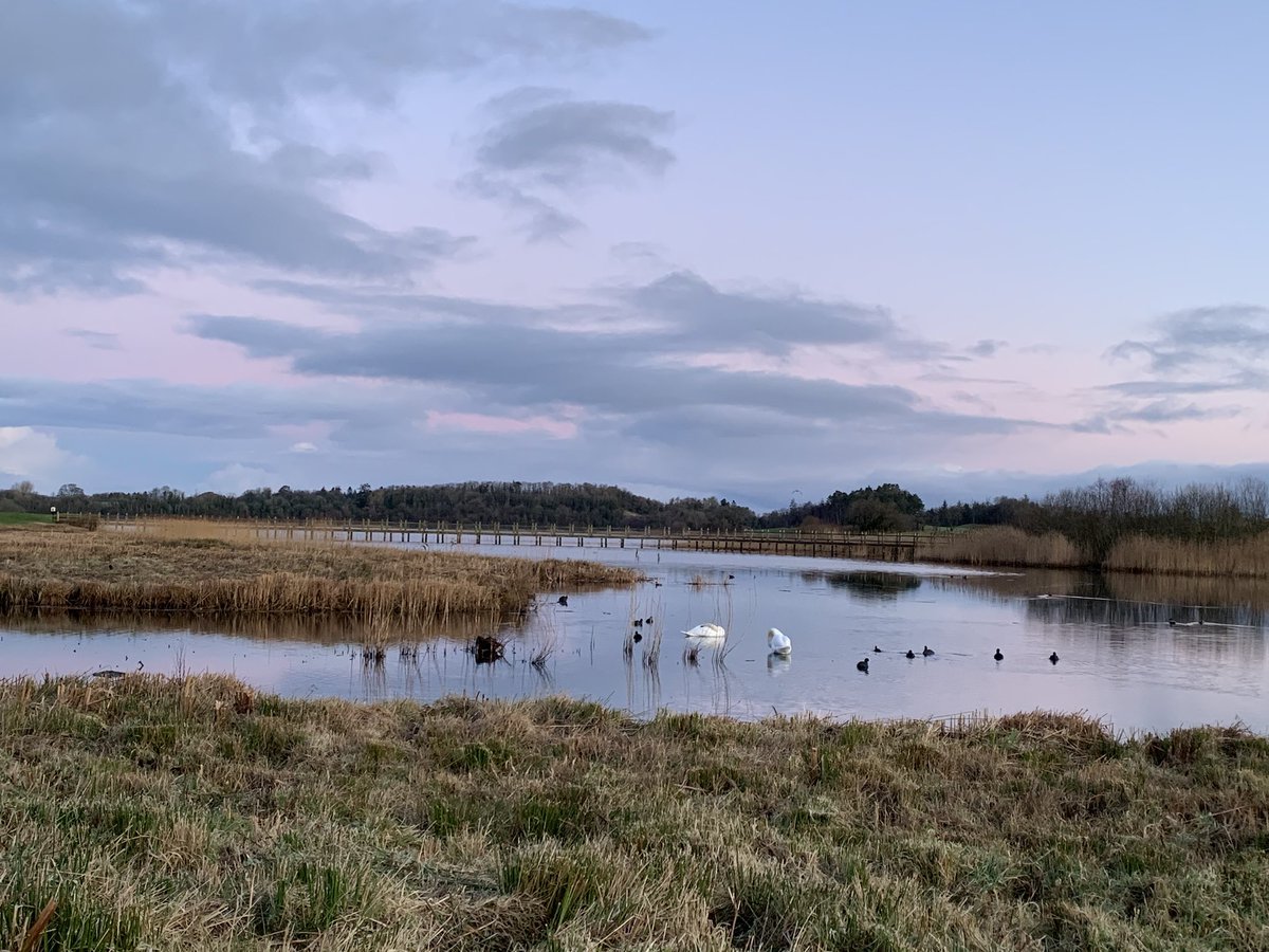 Julie Anderson (@drjulespsych) on Twitter photo Grateful for #creation #running #headspace & to be welcoming lots of our amazing <a href="/rcpsychNI/">rcpsychNI</a> members to <a href="/LoughErneResort/">Lough Erne Resort</a>, esp to hear from <a href="/MichaelMarmot/">Sir Michael Marmot</a> & <a href="/mikenesbittni/">Mike Nesbitt</a> Supported by some central <a href="/rcpsych/">Royal College of Psychiatrists</a> friends <a href="/Derektracy1/">Derek Tracy</a> <a href="/DrLadeSmith/">Lade Smith CBE</a> <a href="/FGaughran/">Fiona Gaughran ๐</a> <a href="/elen_cook/">Elen Cook</a> <a href="/Its_Markham/">Peter Markham</a> Grateful for #creation #running #headspace & to be welcoming lots of our amazing <a href="/rcpsychNI/">rcpsychNI</a> members to <a href="/LoughErneResort/">Lough Erne Resort</a>, esp to hear from <a href="/MichaelMarmot/">Sir Michael Marmot</a> & <a href="/mikenesbittni/">Mike Nesbitt</a> Supported by some central <a href="/rcpsych/">Royal College of Psychiatrists</a> friends <a href="/Derektracy1/">Derek Tracy</a> <a href="/DrLadeSmith/">Lade Smith CBE</a> <a href="/FGaughran/">Fiona Gaughran ๐</a> <a href="/elen_cook/">Elen Cook</a> <a href="/Its_Markham/">Peter Markham</a>