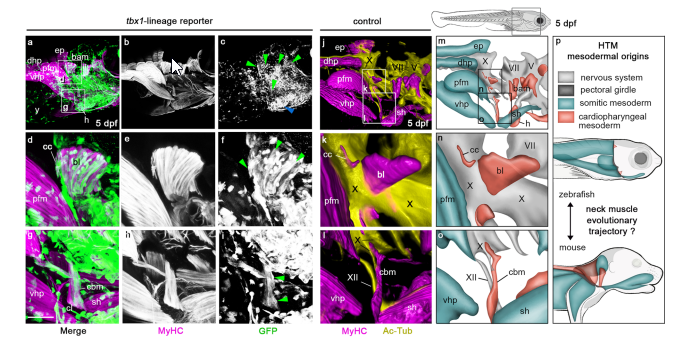 PhaseView tweet media