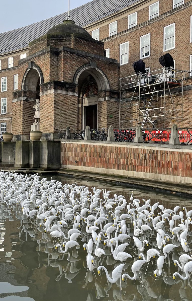 Dozens of flamingos have arrived in the water in front of City Hall ahead of Bristol Light Festival which begins on Friday 🦩