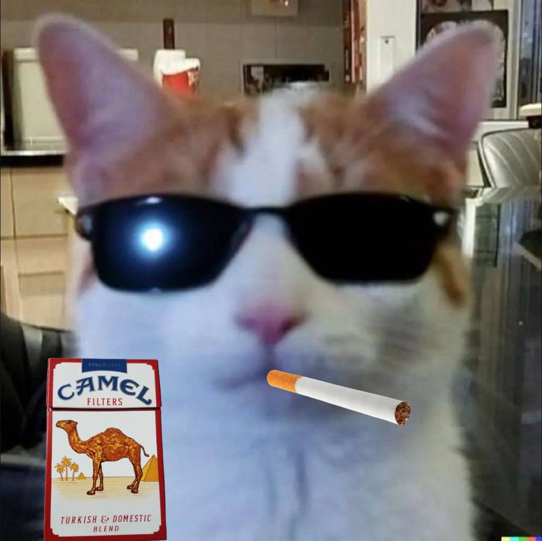 CamelSolCto's tweet photo. They say smoking isn’t cool. Joe Camel begs to differ. #ChadMascot #JoeCamel https://t.co/BmmuMuP9EN