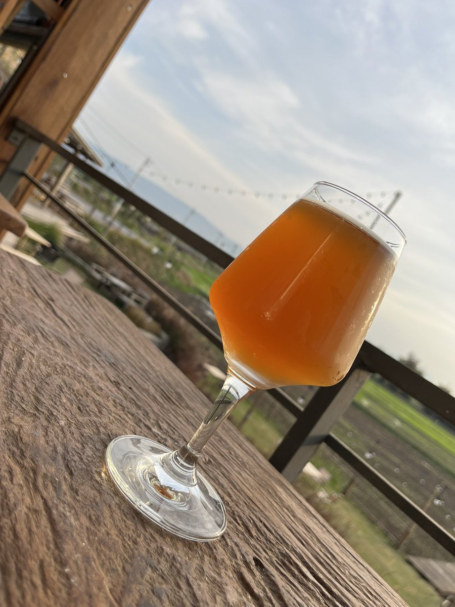 รีบกิน รีบเมา รีบนอน 🥂