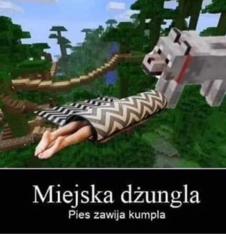 Kojdak's tweet photo. miejska dżungla https://t.co/hbjGwCVT5c