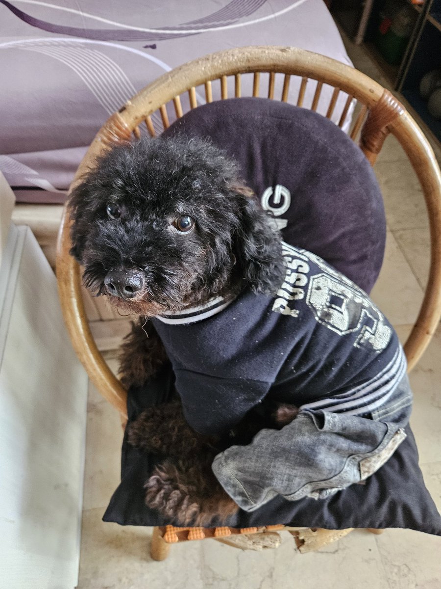 InuzukaDai's tweet image. Si jelek 🥰