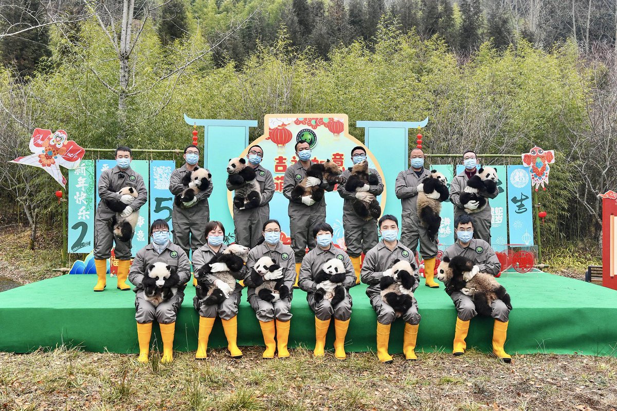 ClareLouHart's tweet image. #Montpellier is sending #HappyChineseNewYear wishes to everyone in our dear sister city @Chengdu_China🎉
恭喜发财 !
🎊 Wishing you all a prosperous and joy-filled year of the Snake🐍🧧✨ 
#ChengduVibes #新春快乐 #memoriesofchengdu