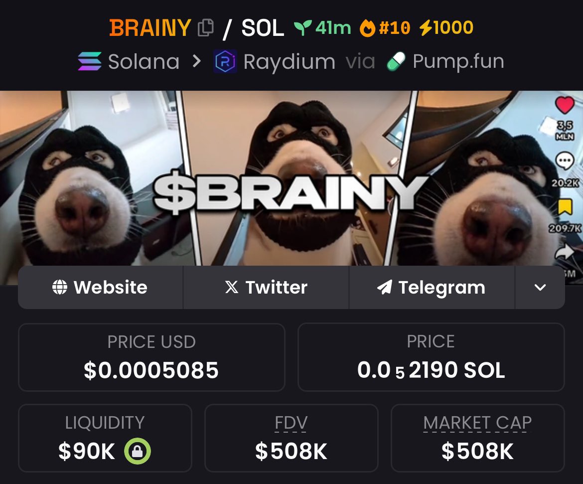 BRAINY token
