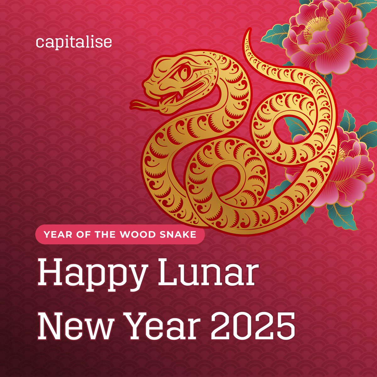 🐍 𝗛𝗮𝗽𝗽𝘆 𝗟𝘂𝗻𝗮𝗿 𝗡𝗲𝘄 𝗬𝗲𝗮𝗿 🎉
This weekend is Lunar New Year and welcomes the Year of the Wood Snake.

We’re wishing you all a successful year ahead!

#LunarNewYear2025 #YearOfTheWoodSnake #Capitalise