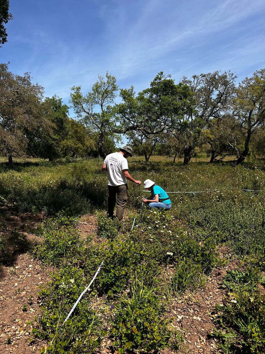 CA_Cleanforest's tweet photo. 20th CLEANFOREST webinar!
Maria Alexandra Oliveira will present "Implementing a long-term network to #monitor the effects of air #pollution on terrestrial #ecosystems in Portugal"
🗓️13th February 2025; 13:00 – 13:45 (CET)
https://t.co/z717E9AYAf
#MonitoringNetwork #lichen #soil https://t.co/hsitfVcORM