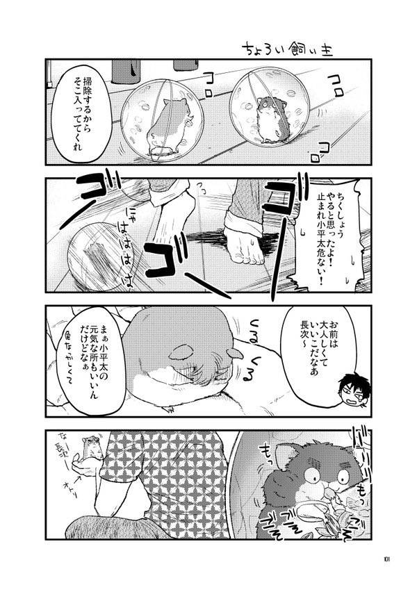 2/2 