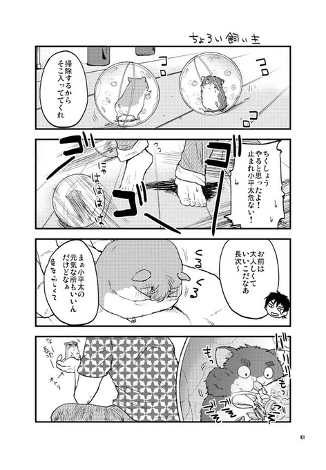 2/2 