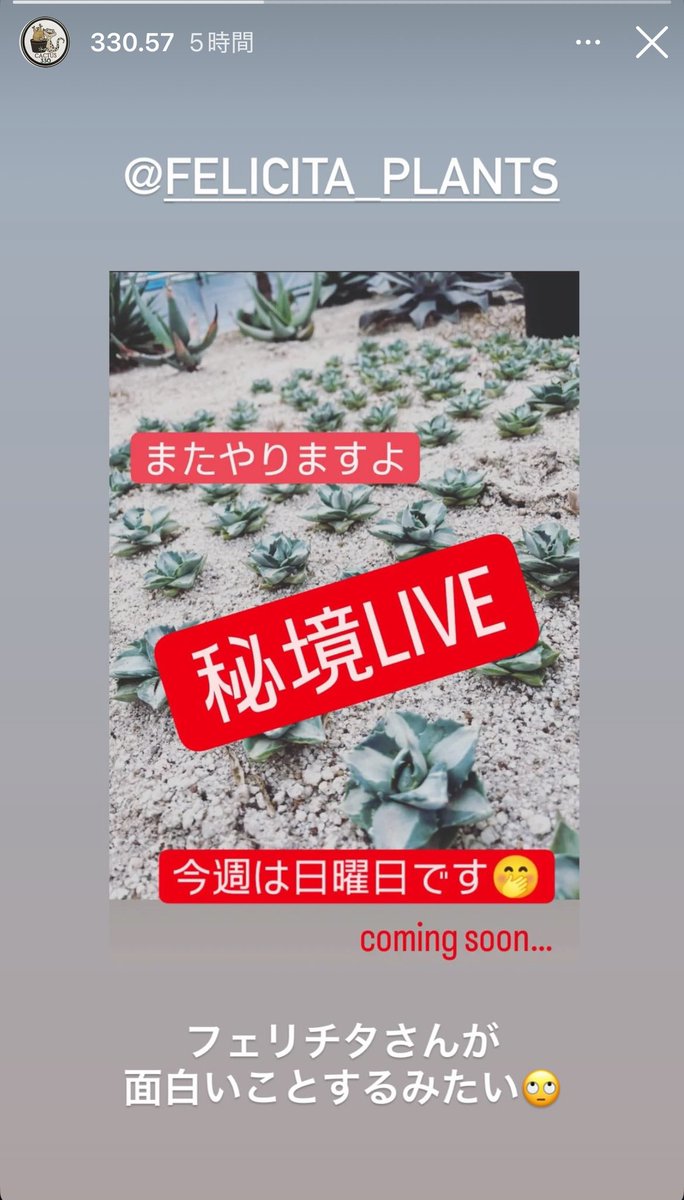 先週参加したfelicitaさんのアガベ秘境LIVE販売レア株激安からの秘境の謎が解けてまた参加するしかない件🪴
#アガベ　#ビザールプランツ