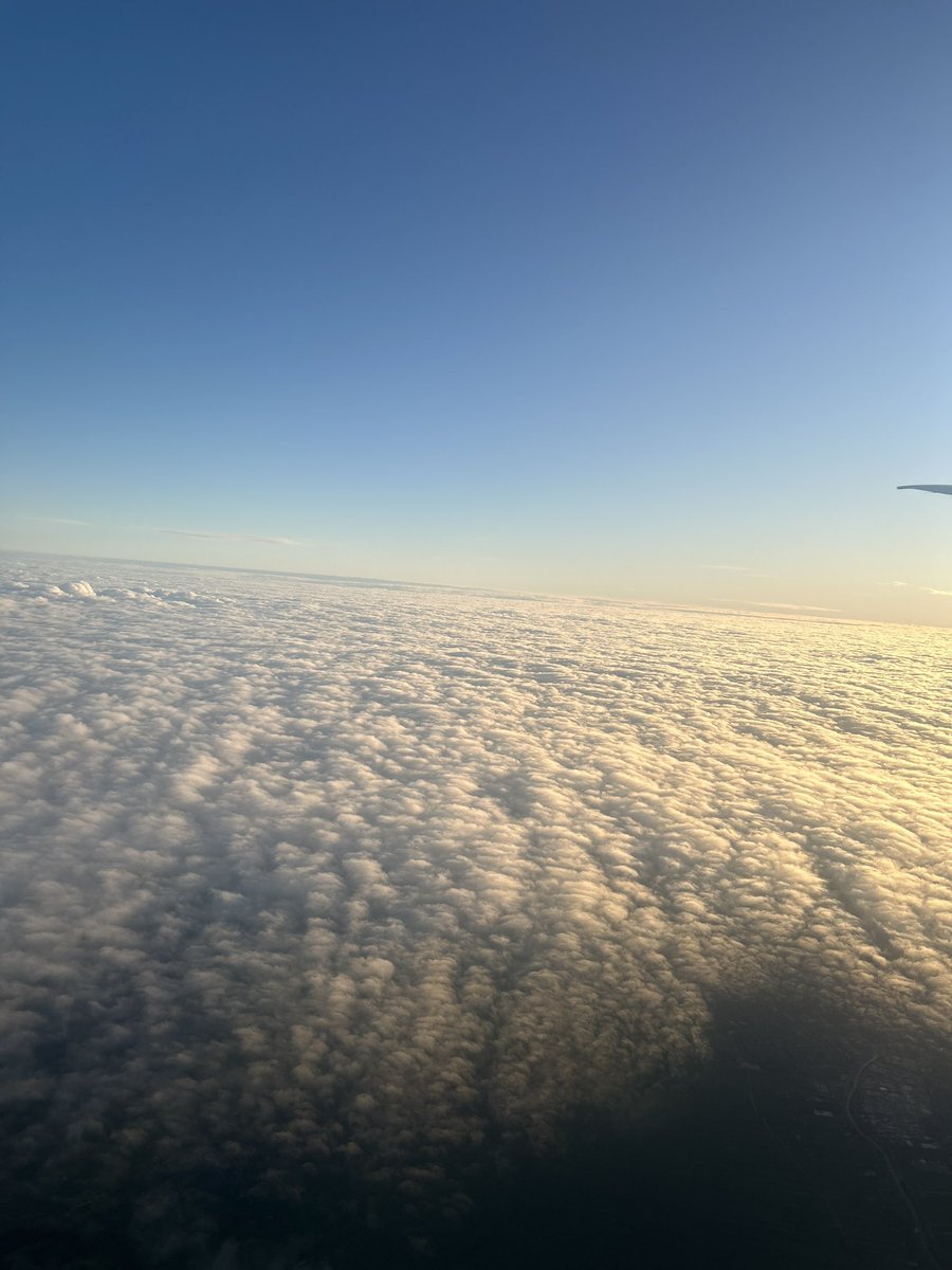 neroxmng's tweet image. 