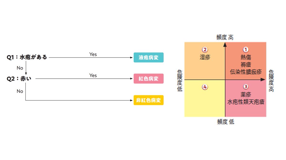 診断＋治療を完全攻略 皮膚疾患データブック | 松田 光弘 |本