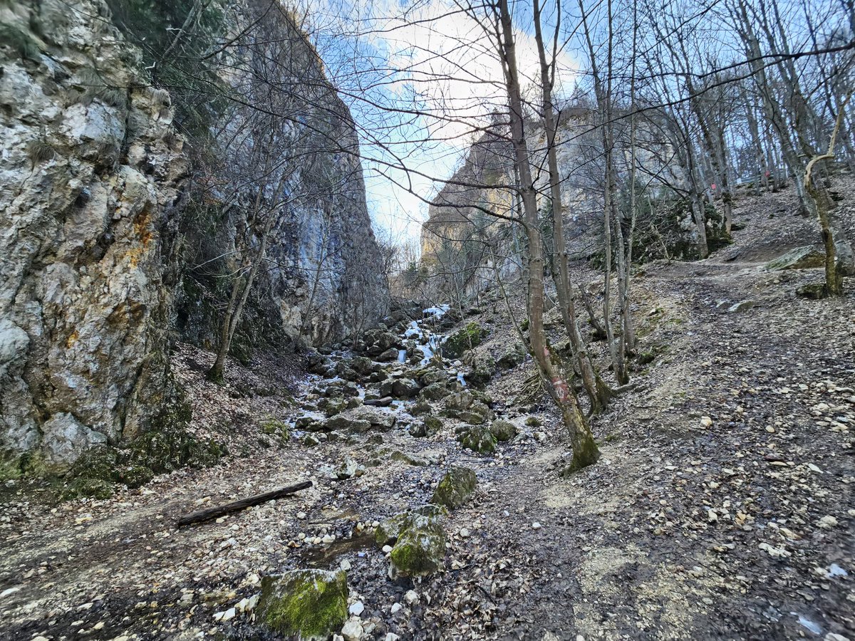 RJonTourUK tweet media