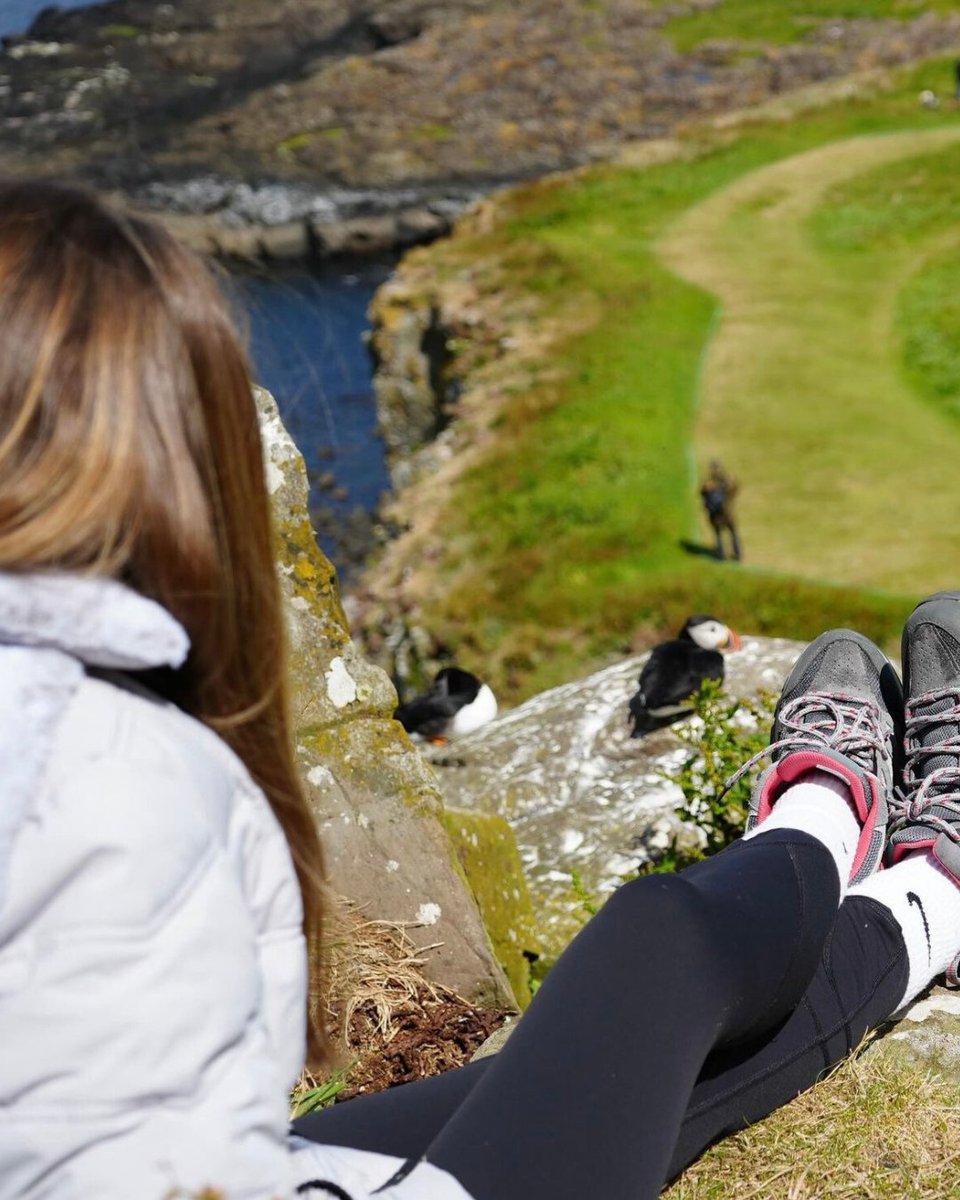 GoExploreScot's tweet image. A throwback to last summer and some amazing puffin shots taken by Vivian instagram.com/ourfamilyadven…. If you go to Isle of Mull from late April to early August, this is a must do activity! 🐧